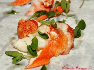 lobster-nuschese-sws