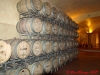 tolaini-cellar