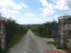 tolaini-estate-entrance
