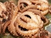 baby-octopus