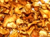 food-6
