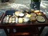 Rhone Trip 2011