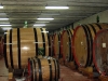 poggio-salvi-cellars-2